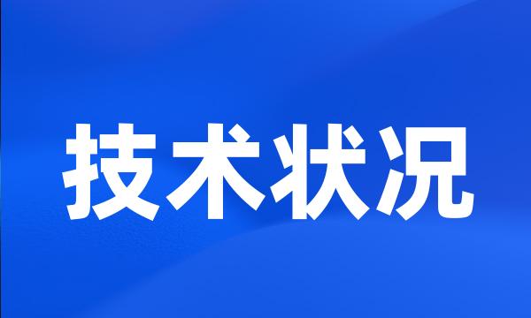 技术状况