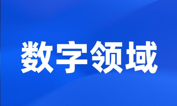 数字领域