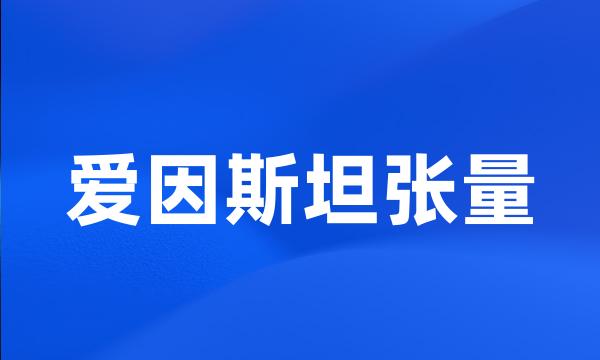 爱因斯坦张量