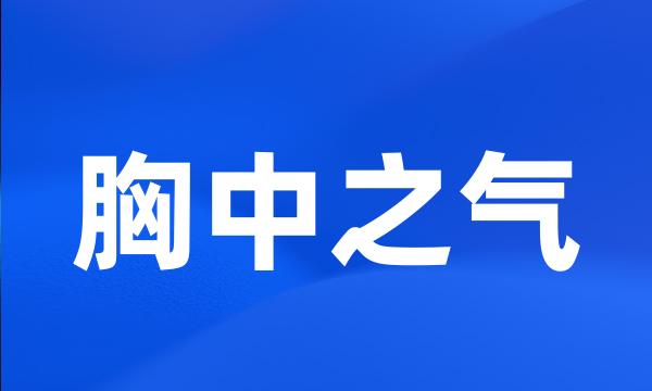 胸中之气