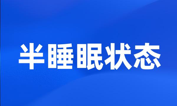 半睡眠状态