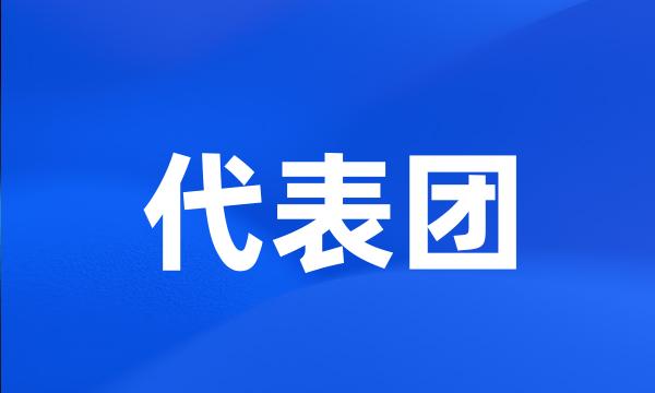 代表团