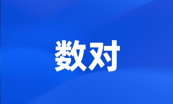 数对