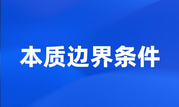 本质边界条件