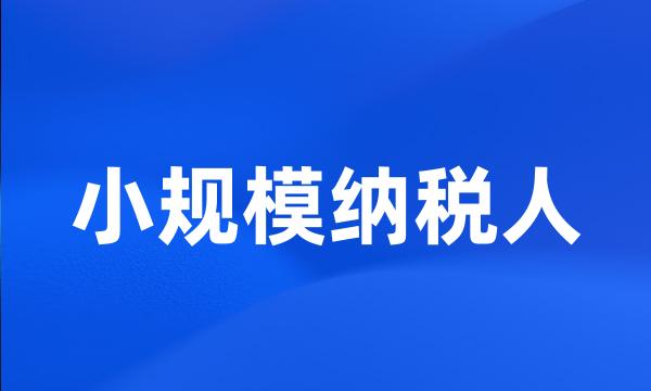 小规模纳税人