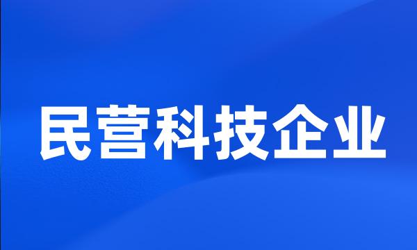 民营科技企业