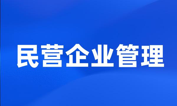 民营企业管理