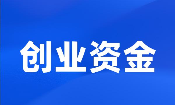 创业资金