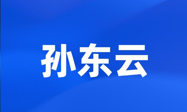 孙东云