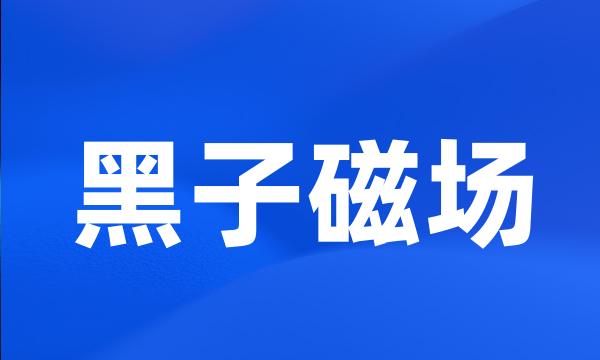 黑子磁场