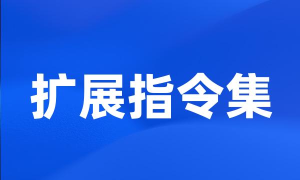 扩展指令集