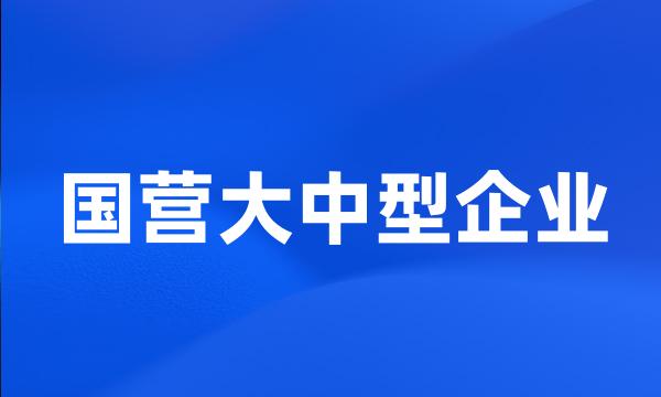 国营大中型企业