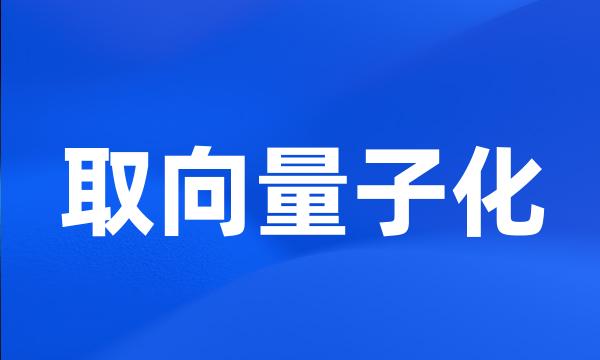 取向量子化