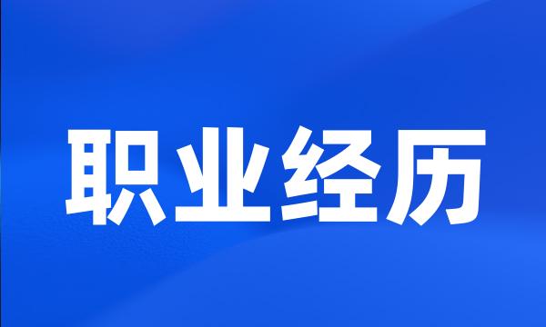 职业经历