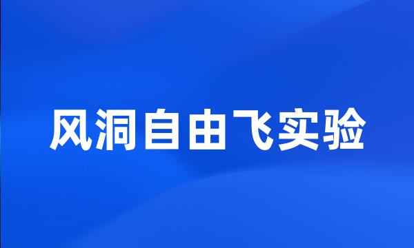 风洞自由飞实验