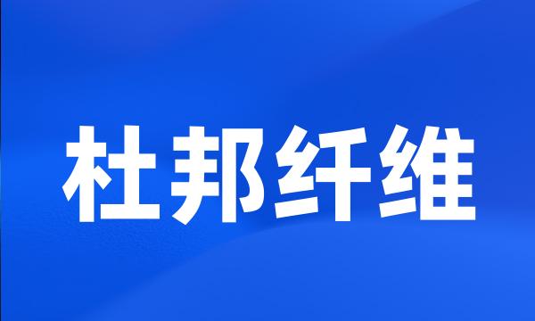 杜邦纤维