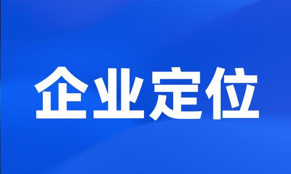 企业定位