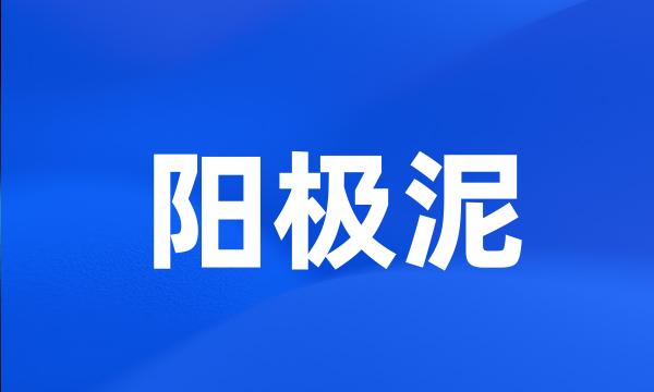 阳极泥