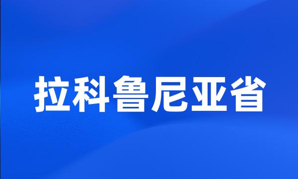 拉科鲁尼亚省