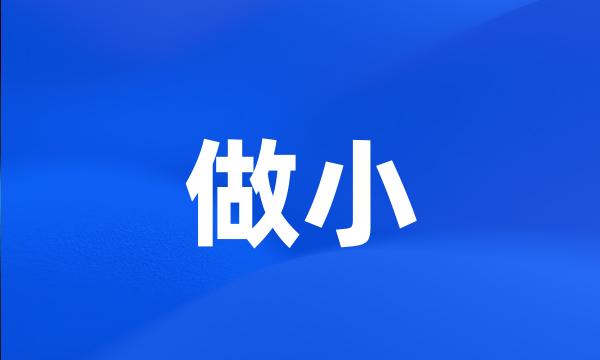 做小