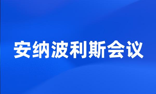 安纳波利斯会议