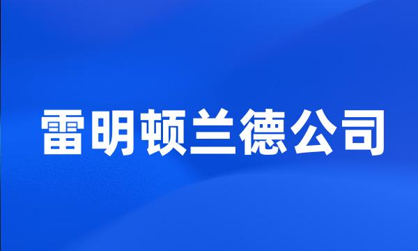 雷明顿兰德公司