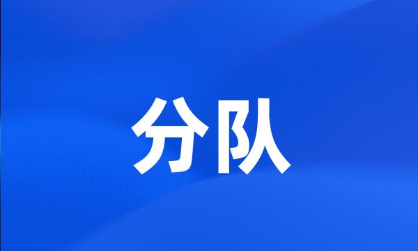 分队