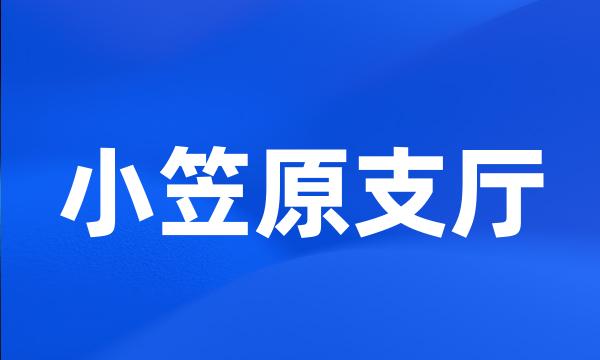 小笠原支厅