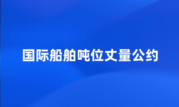 国际船舶吨位丈量公约