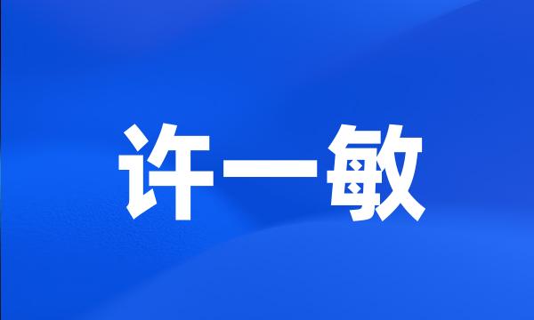 许一敏