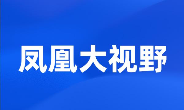 凤凰大视野