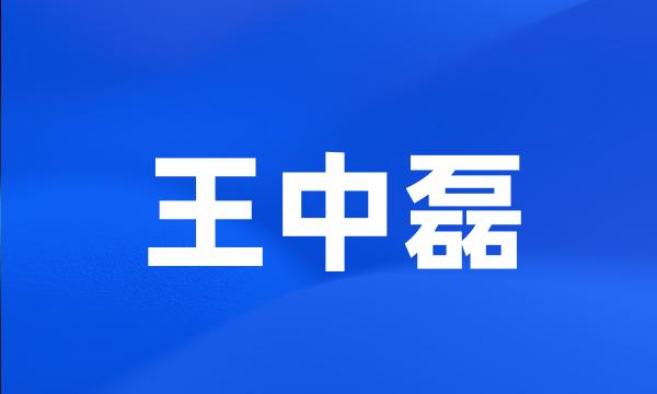 王中磊