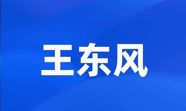 王东风