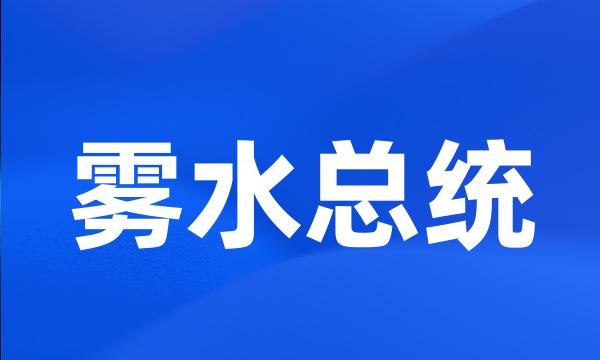 雾水总统