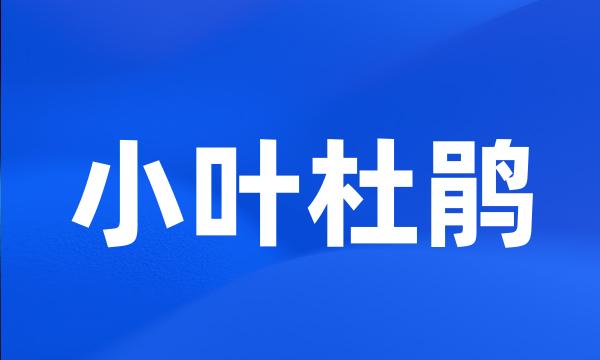 小叶杜鹃