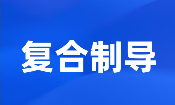 复合制导