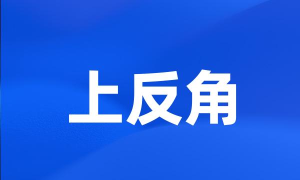 上反角