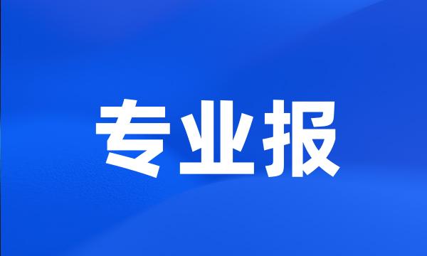 专业报