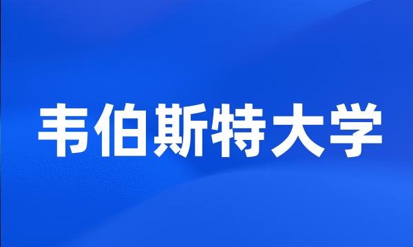 韦伯斯特大学