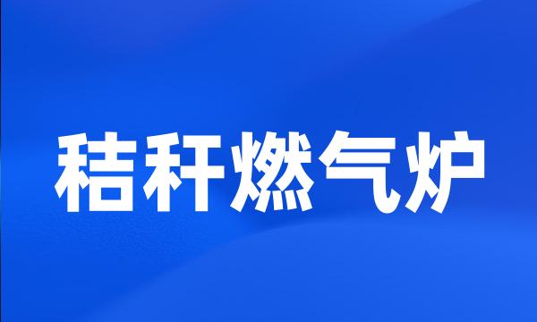 秸秆燃气炉