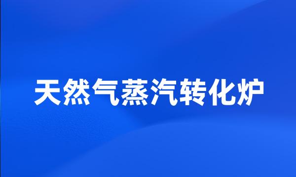 天然气蒸汽转化炉