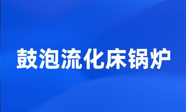 鼓泡流化床锅炉