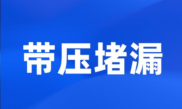 带压堵漏