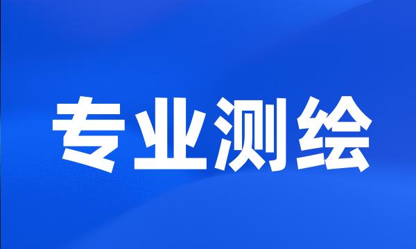 专业测绘