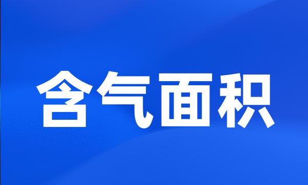 含气面积