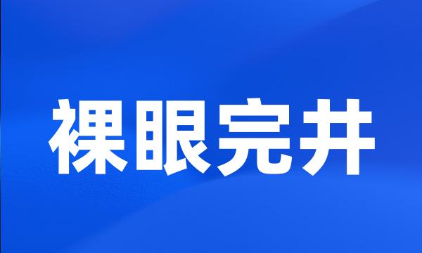 裸眼完井