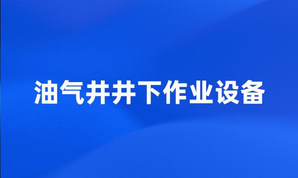 油气井井下作业设备