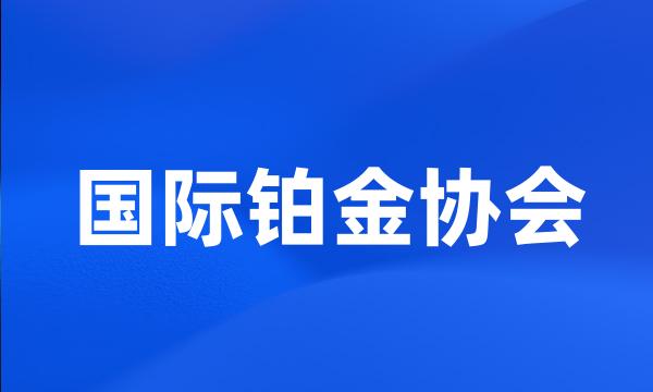 国际铂金协会