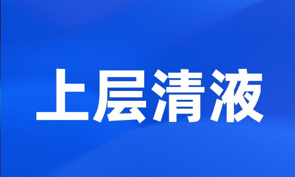 上层清液