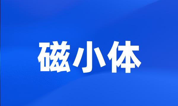 磁小体